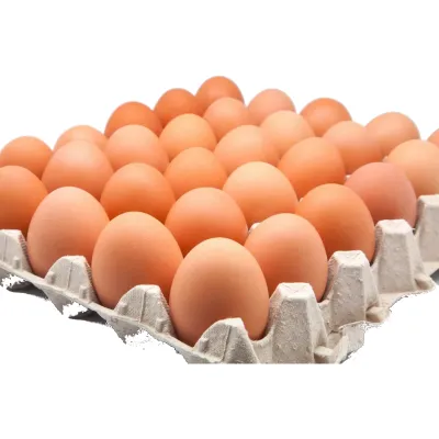 Huevos Extra Color 30 Unidades